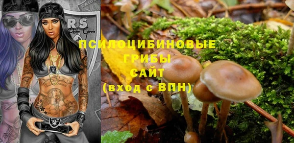 МДПВ Каменногорск
