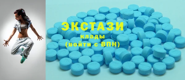 мдпв Каменка