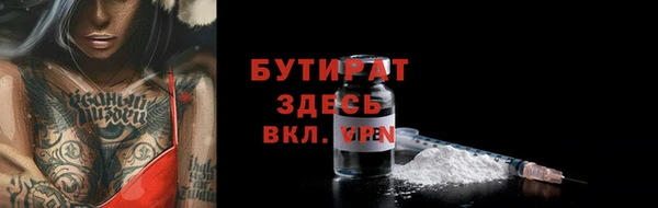 мдпв Каменка