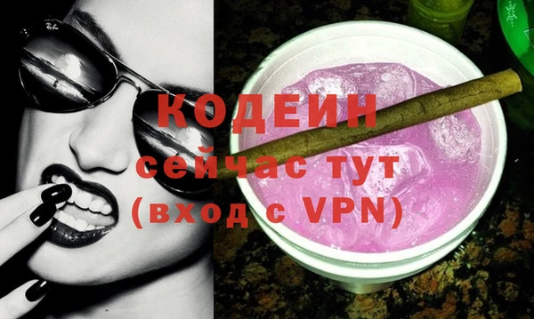 МДПВ Каменногорск