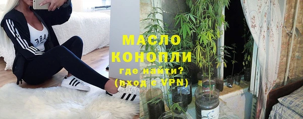 мдпв Каменка