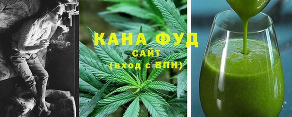 мдпв Каменка