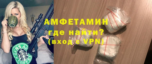 мдпв Каменка