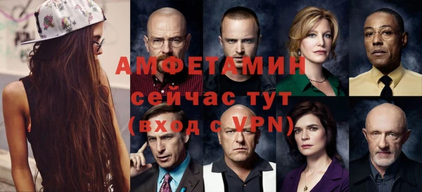 мдпв Каменка