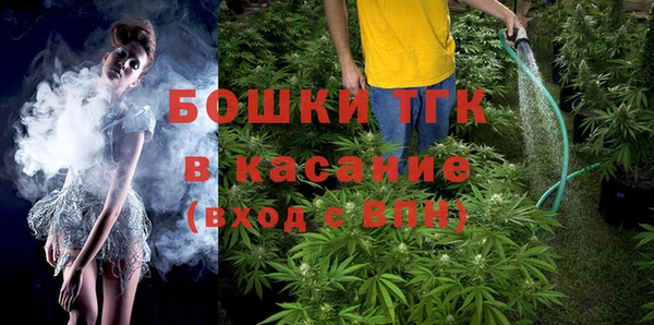 мдпв Каменка
