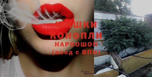 мдпв Каменка