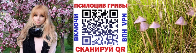 Галлюциногенные грибы прущие грибы  Купить закладки  Бирск 